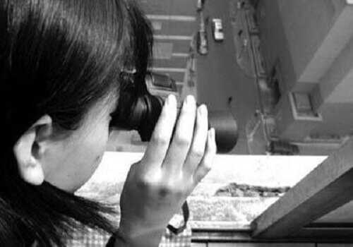 婚内侵权行为的种类